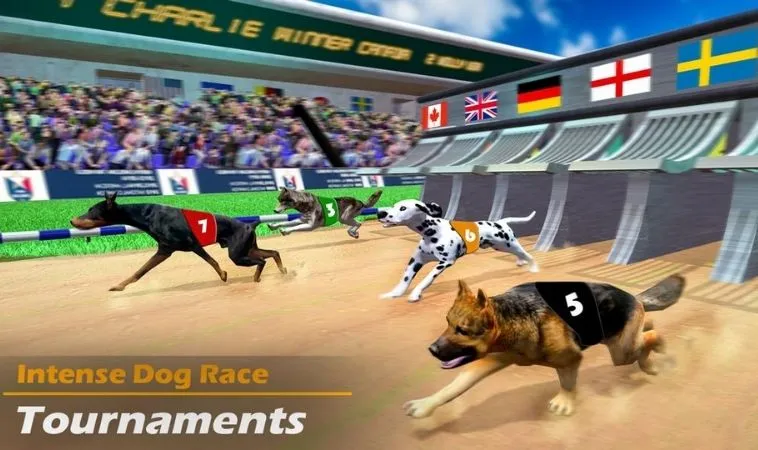 Giao diện chơi game nhanh Đua Chó tại Fun88