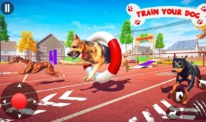 Đua Chó tại Fun88