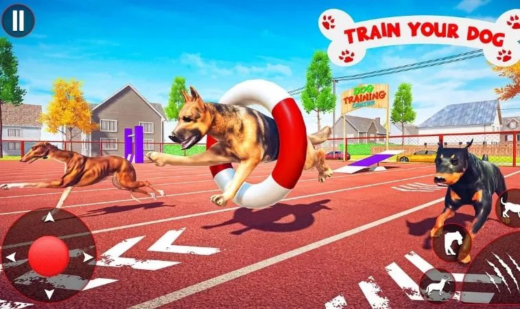 Đua Chó tại Fun88