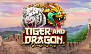 Dragon Tiger tại Fun88